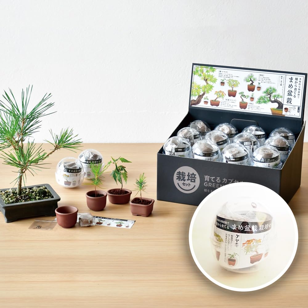 まめち2個セット Amazon｜ITANSE 栽培セット 育てるカプセル まめ盆栽 栽培キット