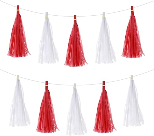 MECCANIXITY Guirnalda de borlas blancas y rojas, 20 unidades, con cuerda de papel de seda, borlas de fiesta, kits de bricolaje para decoración de