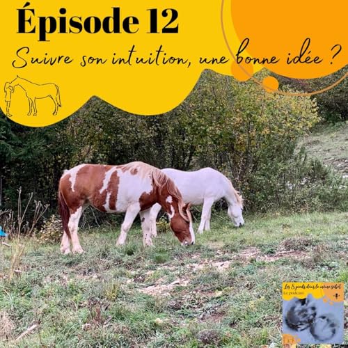 12 - Suivre son intuition quand on est propriétaire, une bonne idée ? cover art