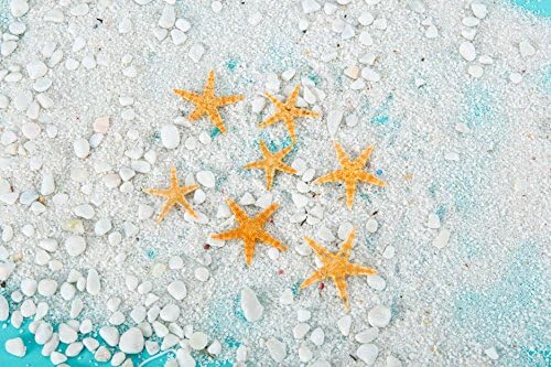 20pcs Tiny Starfish for Crafting or Decorating - 1.5 " Beach Decor star fish