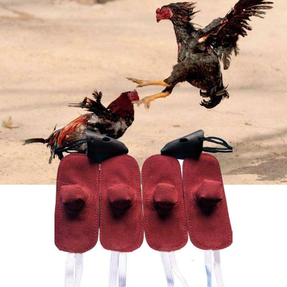 4 pièces coq mitaine Para Gallos poule casque combat Protection animaux de la ferme coqs poulailler accessoires (Color : 4pcs)