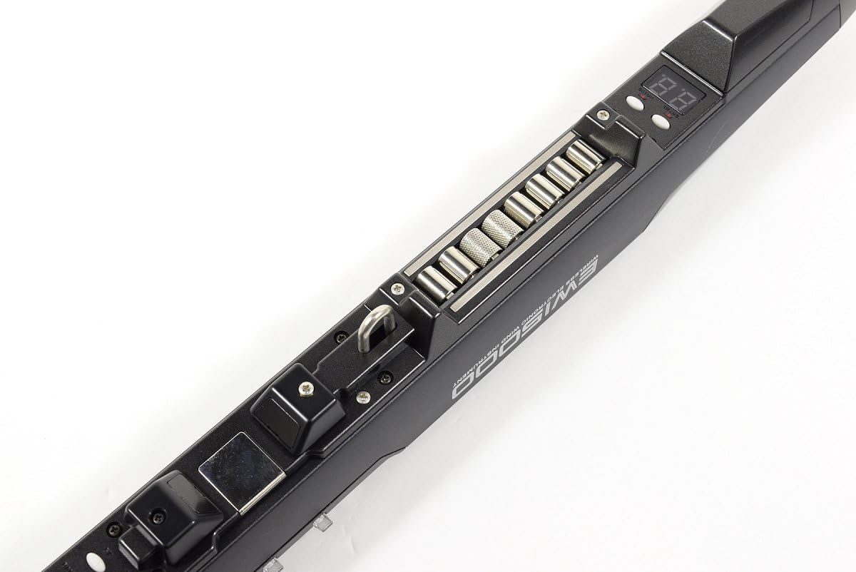Akai Professional EWI5000 - Wireless, Battery-Powered MIDI Controller Electronic Wind Instrument With On-Board Sound Library