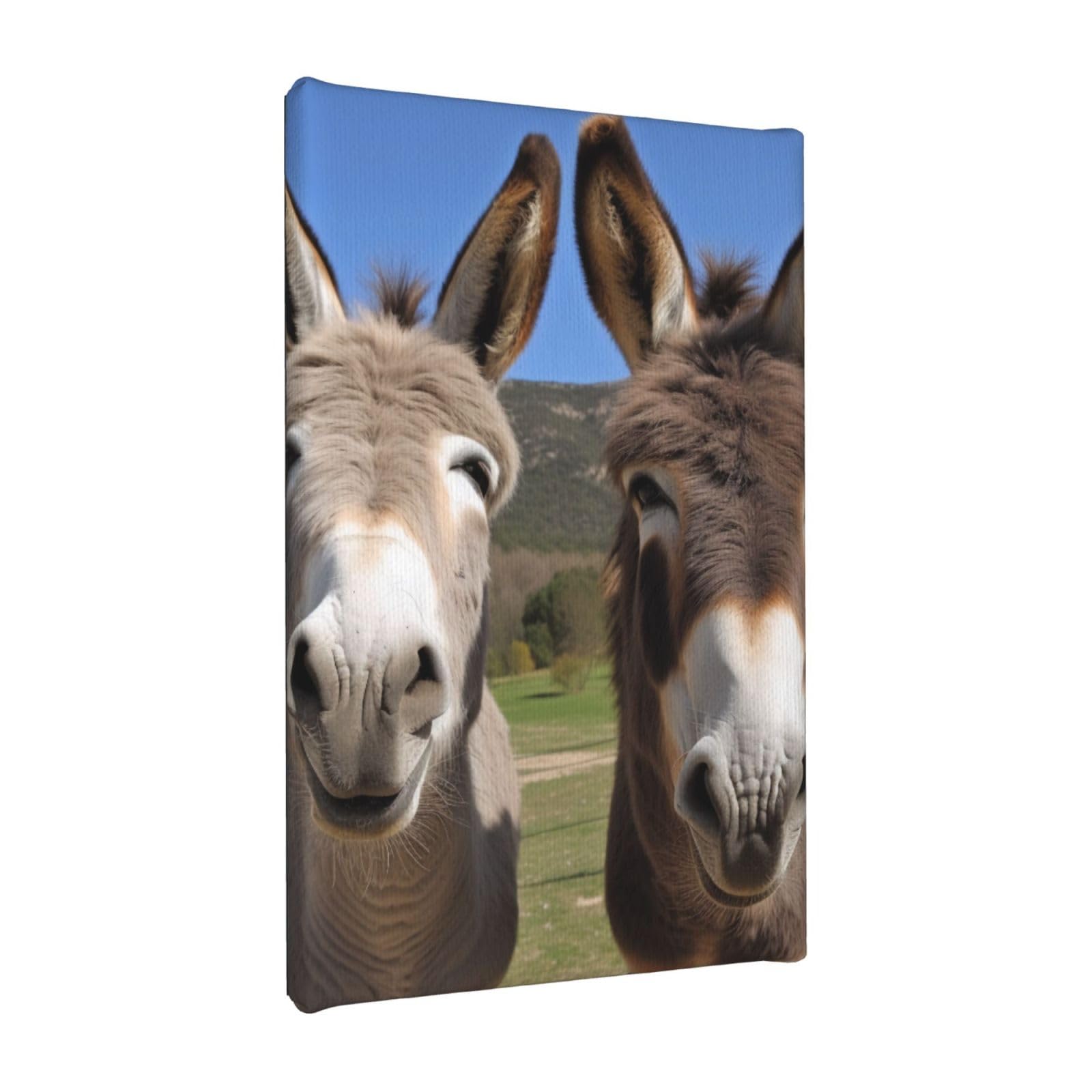 YKLJG Funny Donkeys Printed Wall Art Canvas Painting 20x30 CM Wooden Framed Picture Painting Artwork Prints for Bedroom Kitchen Home Office Decor