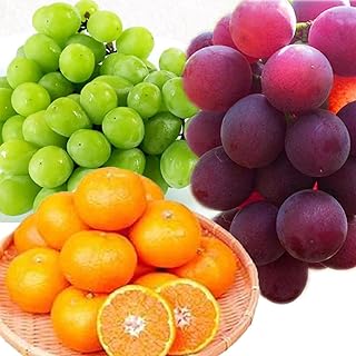 【定期便】［8・9・12月 全3回］紀州和歌山産旬のフルーツセット（巨峰・シャインマスカット・みかん） 定期便