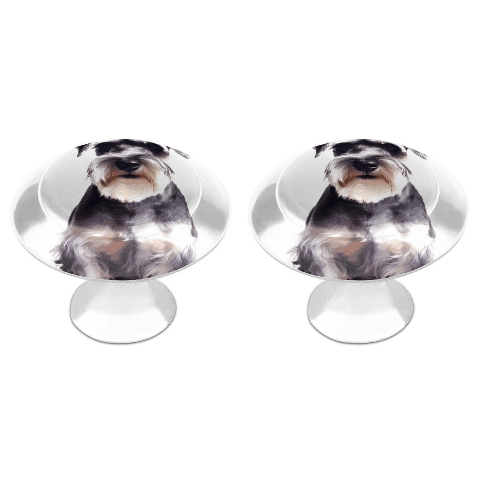 FekiLoot Well-Behaved Schnauzer Cabinet Knob 2 Pack Mini Round Drawer Pulls Stainless Steel Dresser Drawer Knobs Kitchen Drawer Hardware for Bathroom Dresser Closet Door Knobs