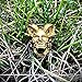 ZMY Home Stainless Steel Rings Jewelry Fashion Genuine Gold Horn Devil Demon Skull Ring for Men (9)