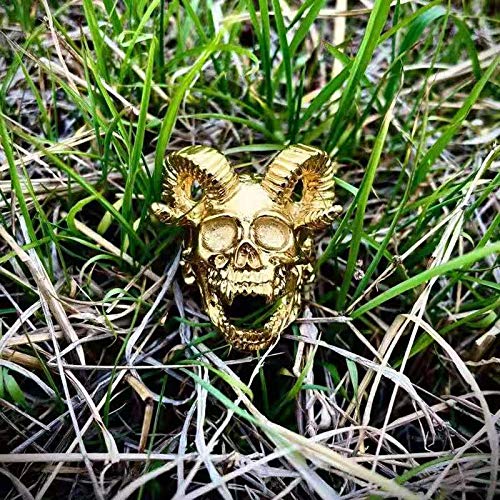 Image of Genuine Stainless Steel Ring Jewelry for Men Fashion Punk Biker Skull Rings
