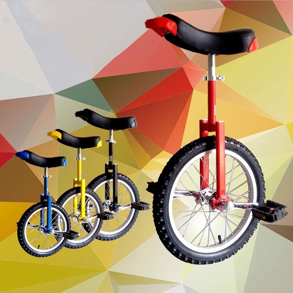 GYJ Monociclo De 16 Ruedas, Bicicleta Equilibrada, Deportes Al Aire Libre Y Ejercicios De Fitness, Exclusivamente for Adultos Y Niños HY