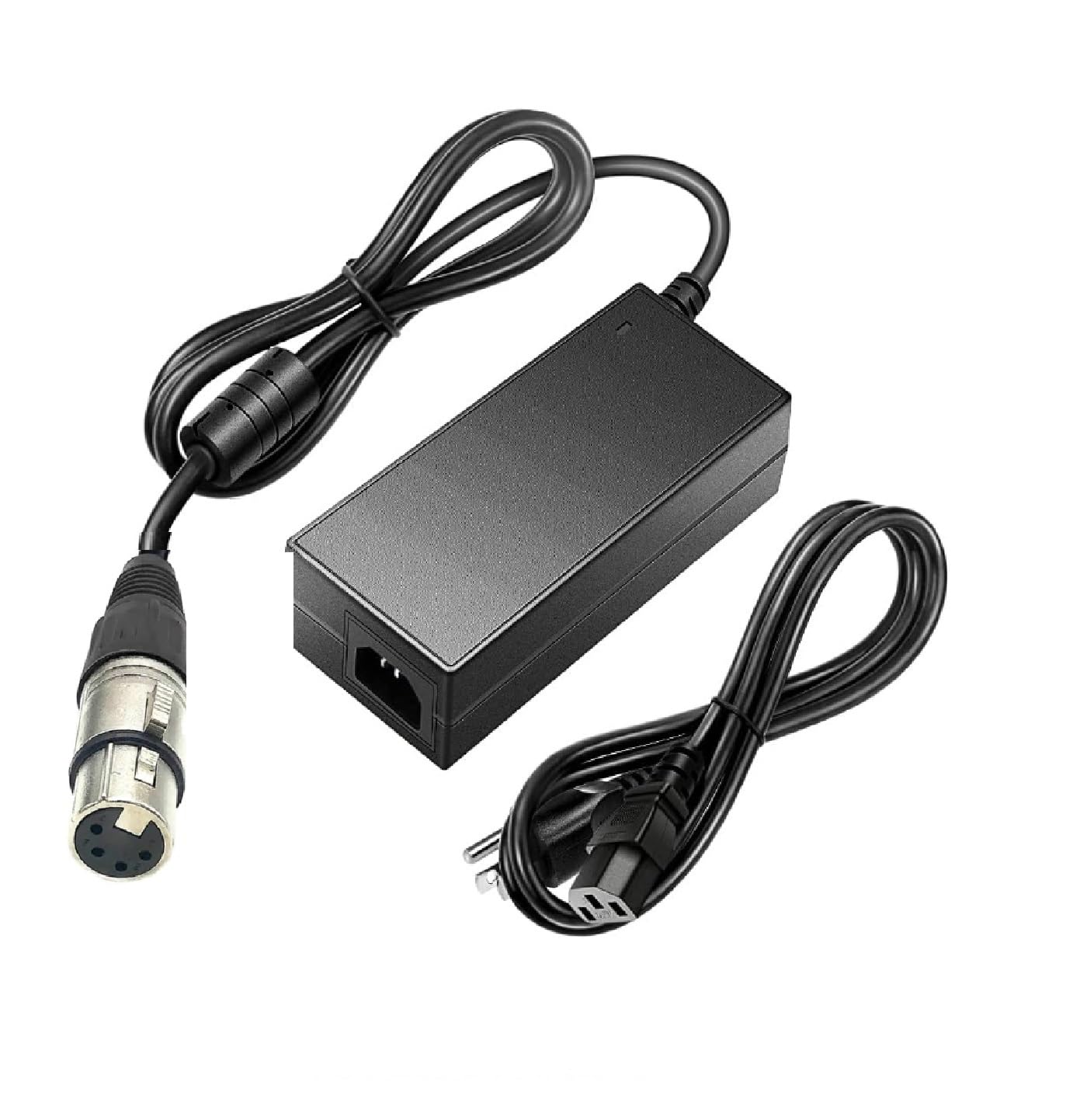 Amazon.com : 4 pin XLR Power Supply 12V for Power Pro Cameras