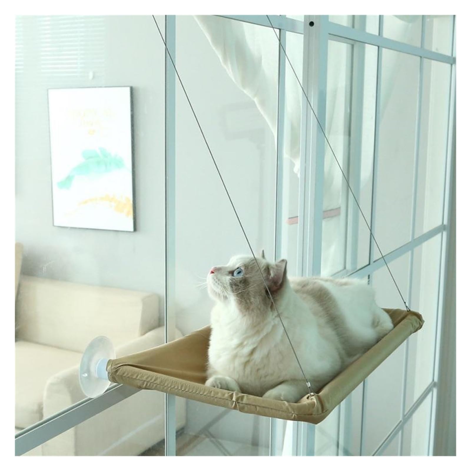 Haustier Katze Hängematte Hängen Bett Lager 20Kg Bequeme Sunny Fenster Sitz Halterung Kätzchen Klettergerüst Zubehör Stabil Komfortabel(Navy Blue)