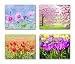 8x10 BIBLE QUOTES Christian inspirational wall decor posters. Set of 4 UNFRAMED poster prints. Made in USA.