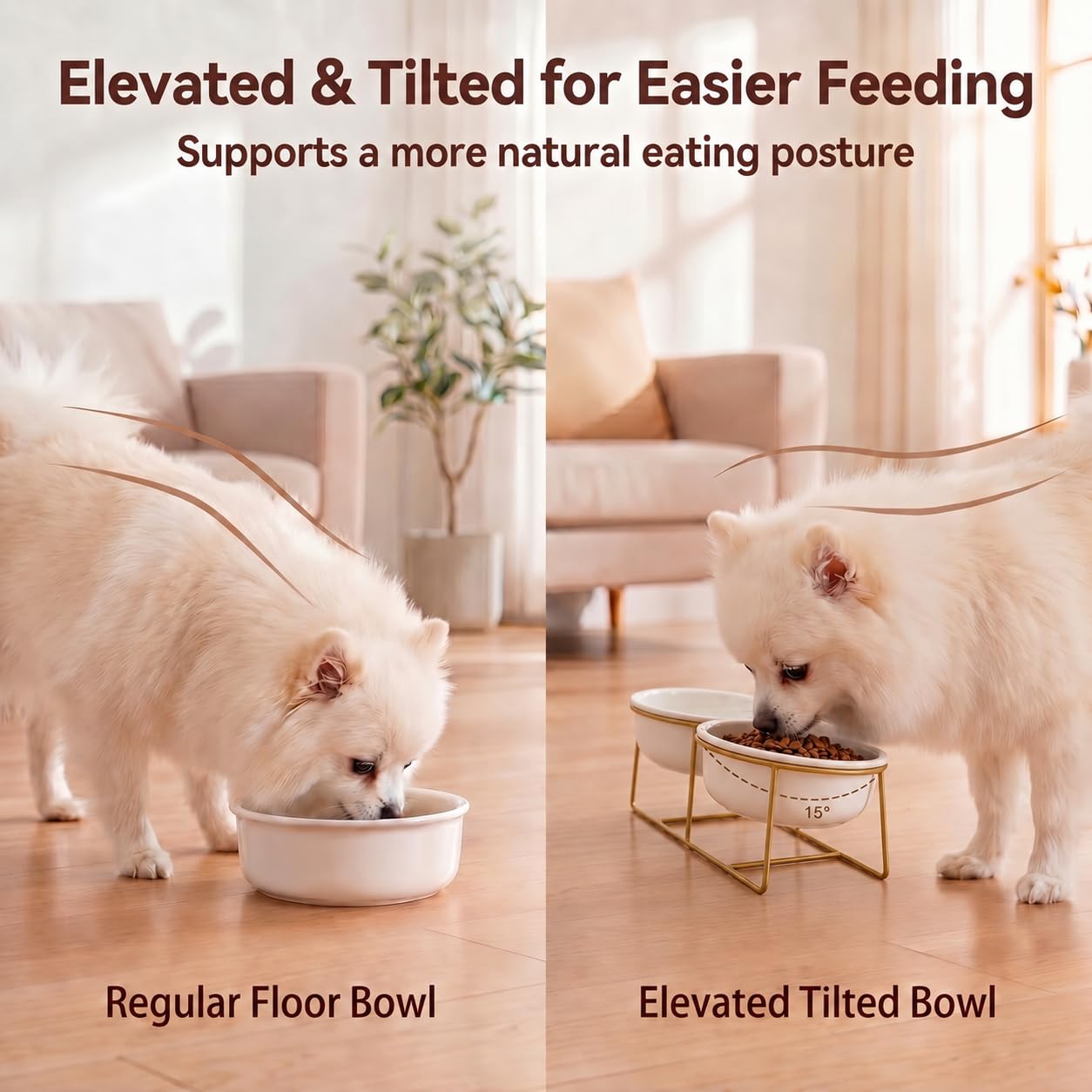 Gamelle surélevée pour chien et chat - Gamelle en céramique pour nourriture et eau - Gamelles confortables pour animaux domestiques avec support en fer doré