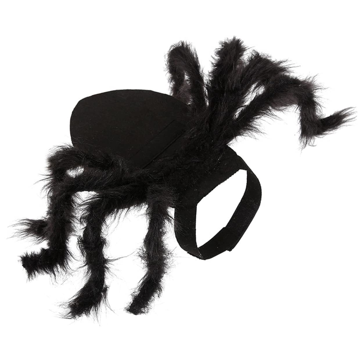 Costume araignée pour chien fini les déguisements rigides pour chiot
