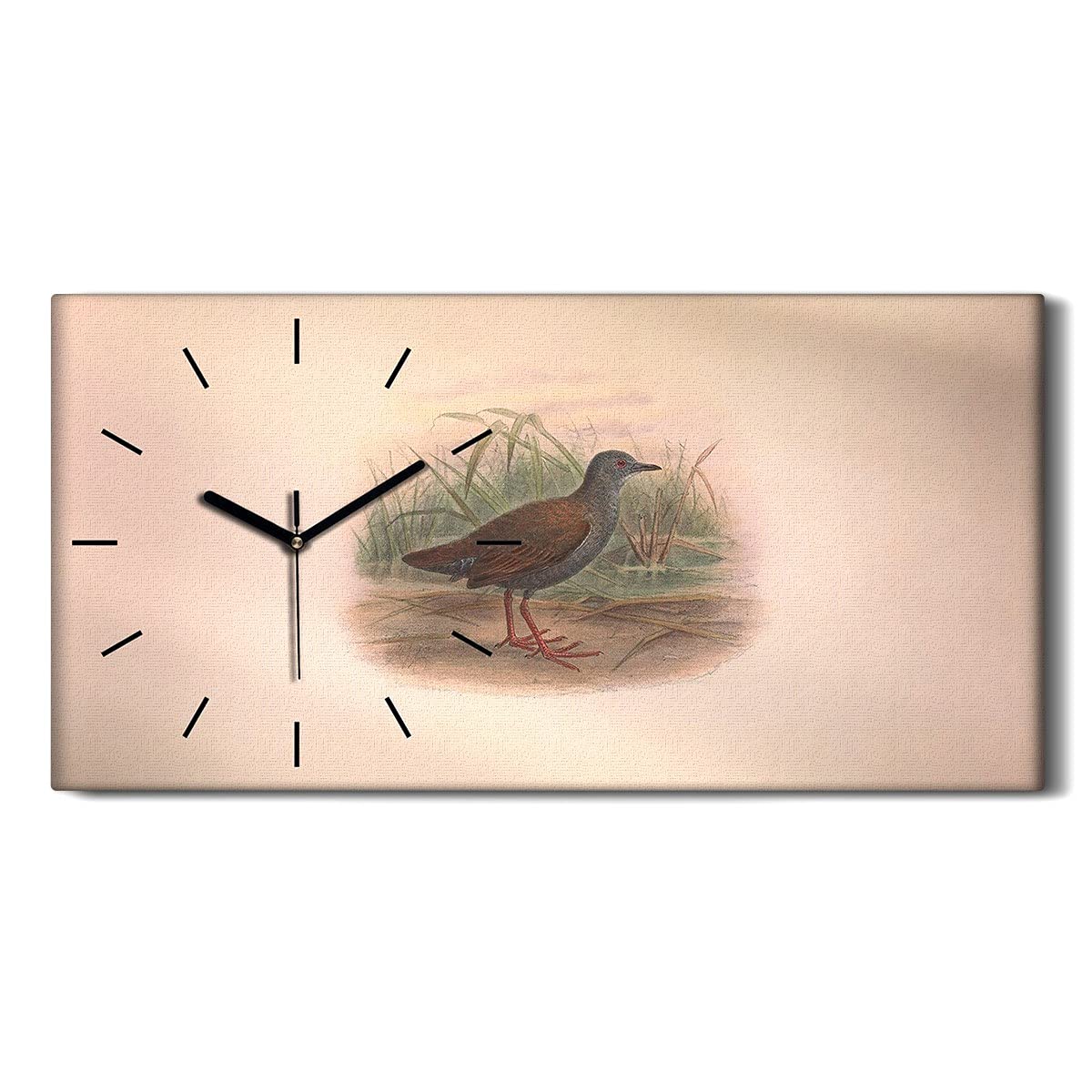 Horloge sur Toile Salon Moderne Décoration Murale Oiseaux Silencieuse 60x30cm