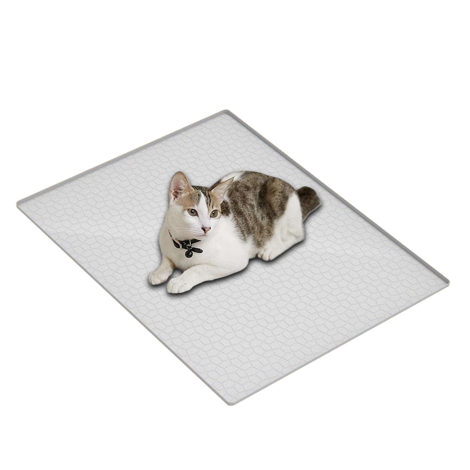 Katzenstreumatte Silikon Unterlage Für Katzentoilette | Klappbare Waschbare Decke Als Deko Für Drinnen Draußen Alle Katzenrassen