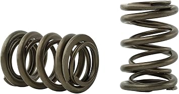 Skunk2 Racing 311-05-7350 Pro Series XP Racing Valve Spring Kit Honda B Series VTEC