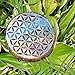 Orgonite Crystal Water Charging Plate –Chakra Balancing Coaster and Positive Energy Generator Flower of Life and with 7 Healing Crystals for Spiritual Balance, Meditation, Reiki Gifts(4 Inch Diameter)