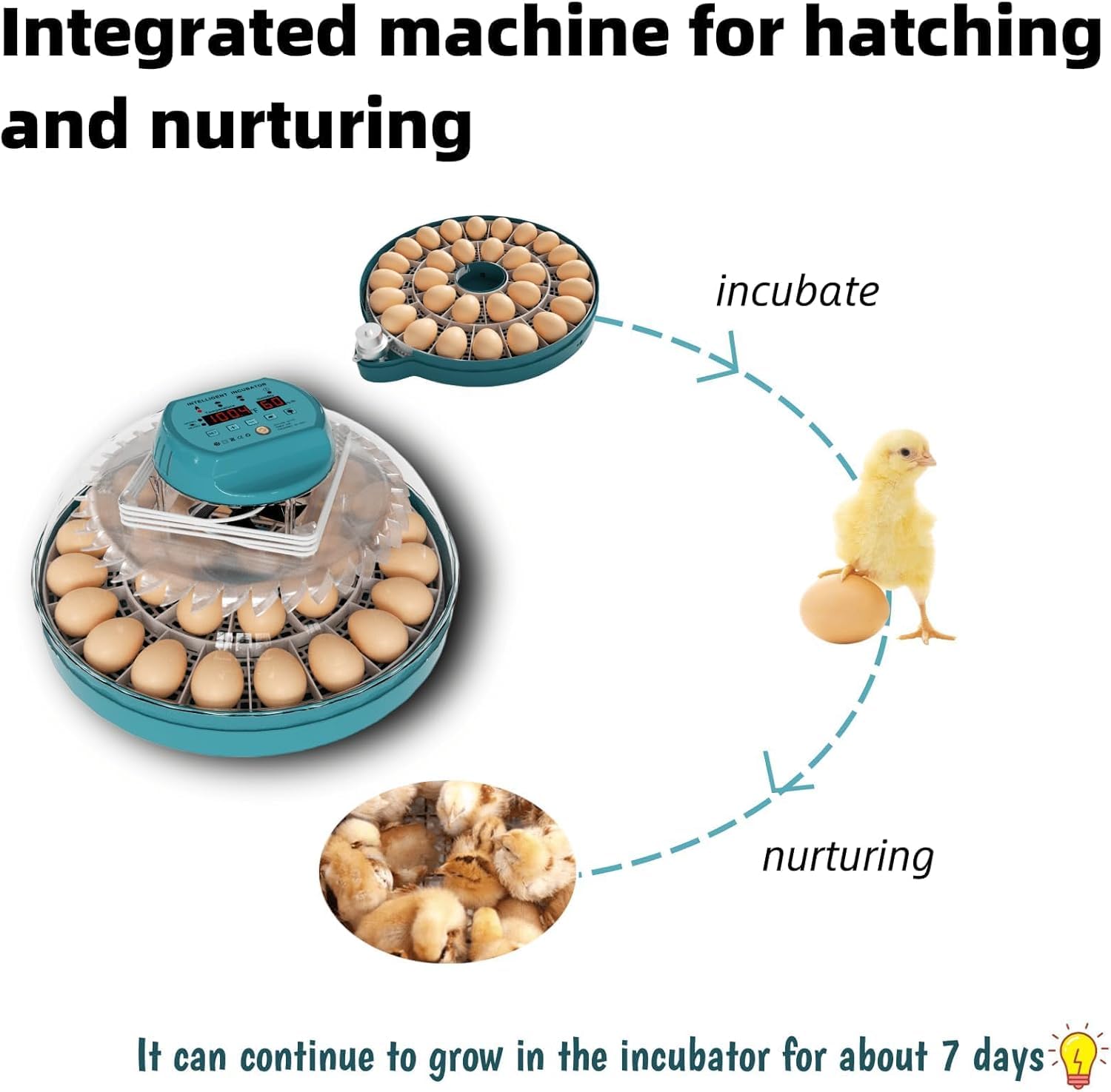 Incubadora de huevos totalmente automática con termostato digital inteligente y control de humedad, volteador automático de huevos para incubar aves de corral