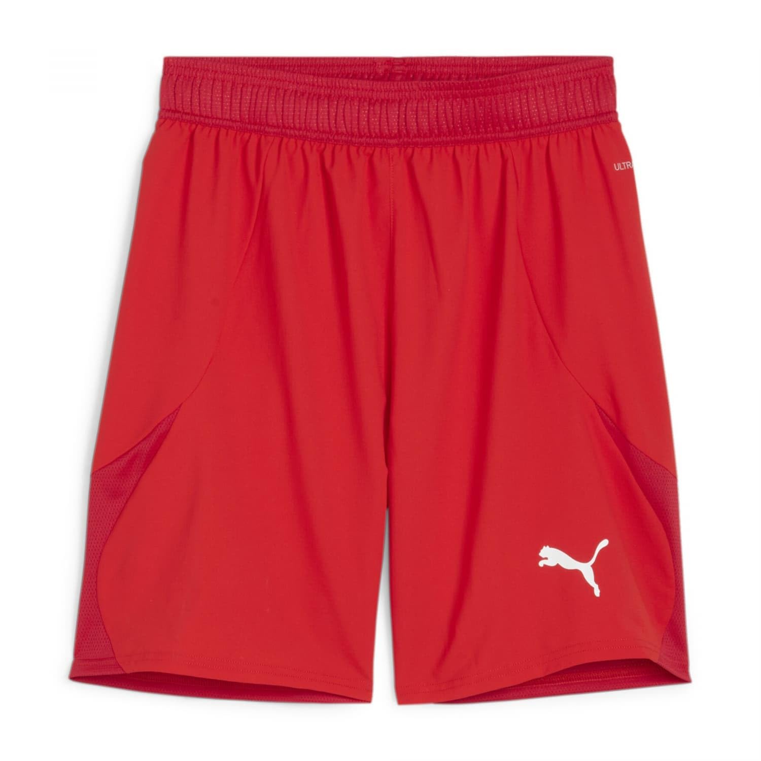 PUMA teamFINAL Shorts