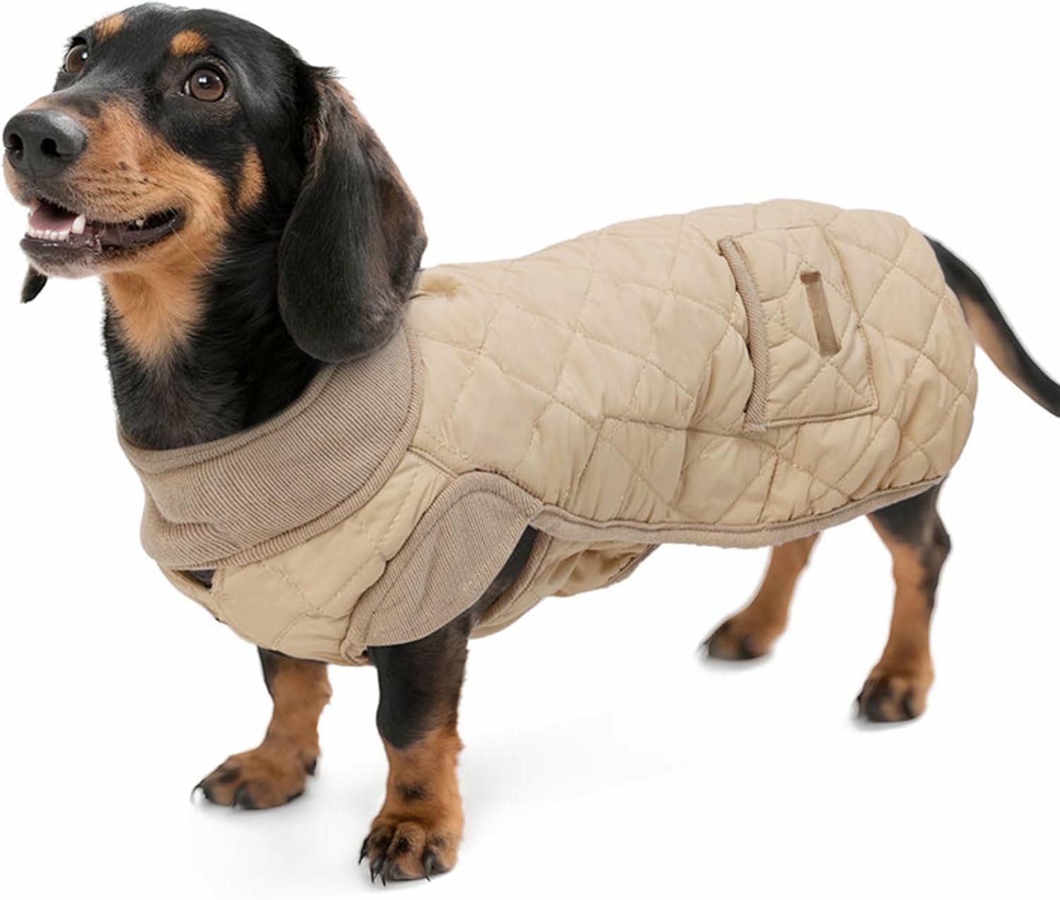 Dog Winter Coat Dachshund, Waterproof Dog Jacket with Harness Hole, Windproof Dogs Vest with Pocket And Elastic Band, Pet Outfit Ideal for Walking,Camping (Beige M)