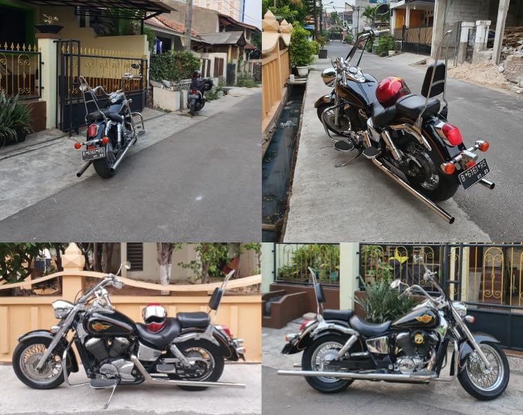 FENGREN Detachable Passenger Sissy Bar