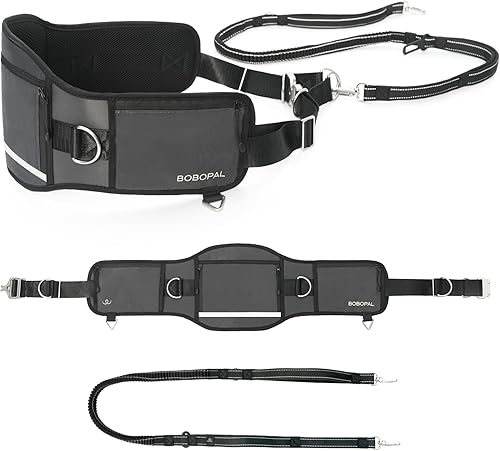 Correa de perro manos libres con cinturón ergonómico, bolsa con cremallera, elástico reflectante y doble asa, para perros medianos y grandes de Bobopal