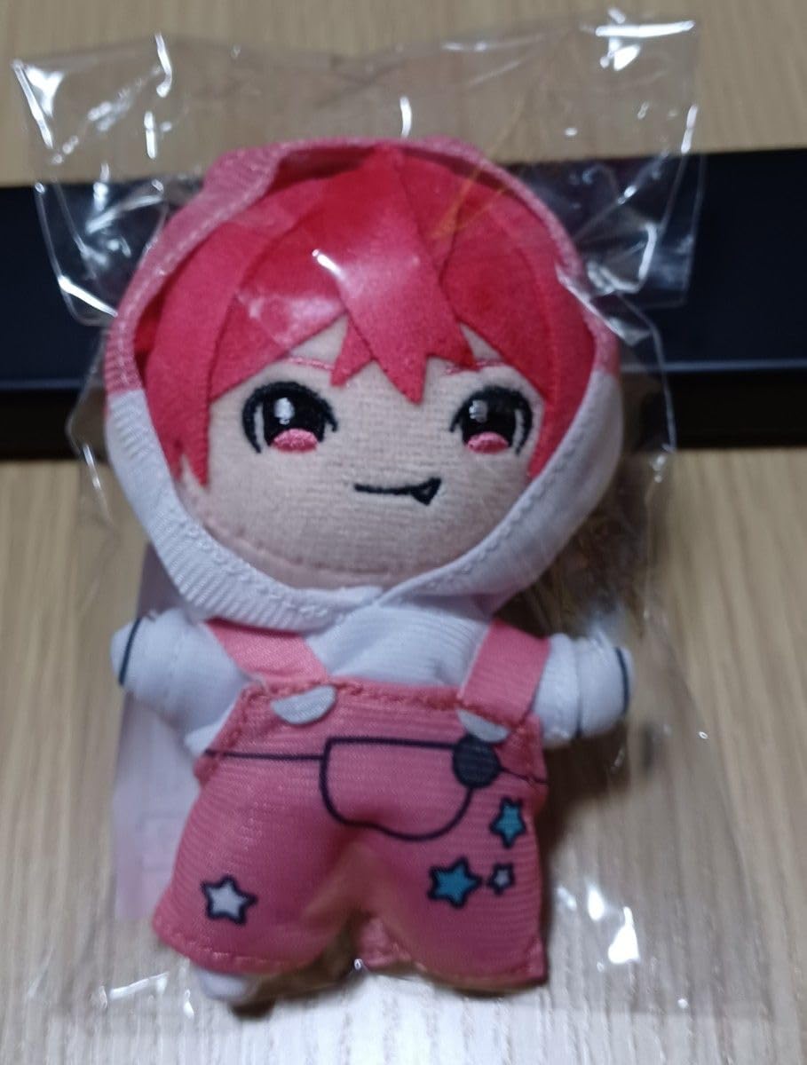 B35. 浦島坂田船 ハロパ 2023 ぬいぐるみマスコットキーホルダー 浦島坂田船 ハロパ 2023 ぬいぐるみキーホルダー うらたぬき