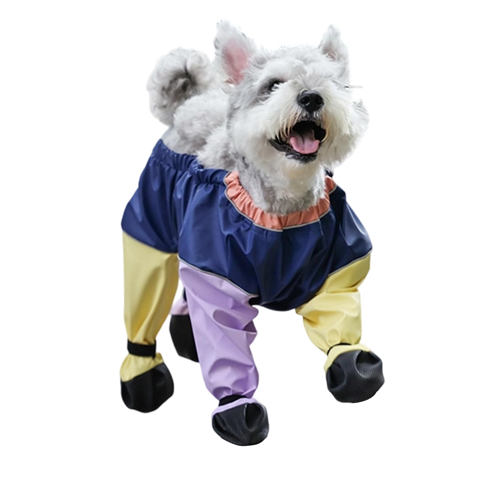 Tenues anti-vent pour chiots lors des randonnées et sorties enneigées