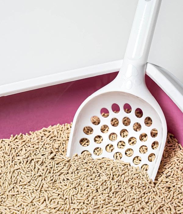 Litière végétale pour chat agglomérante naturelle tofu Tranquille 8x4L - 5