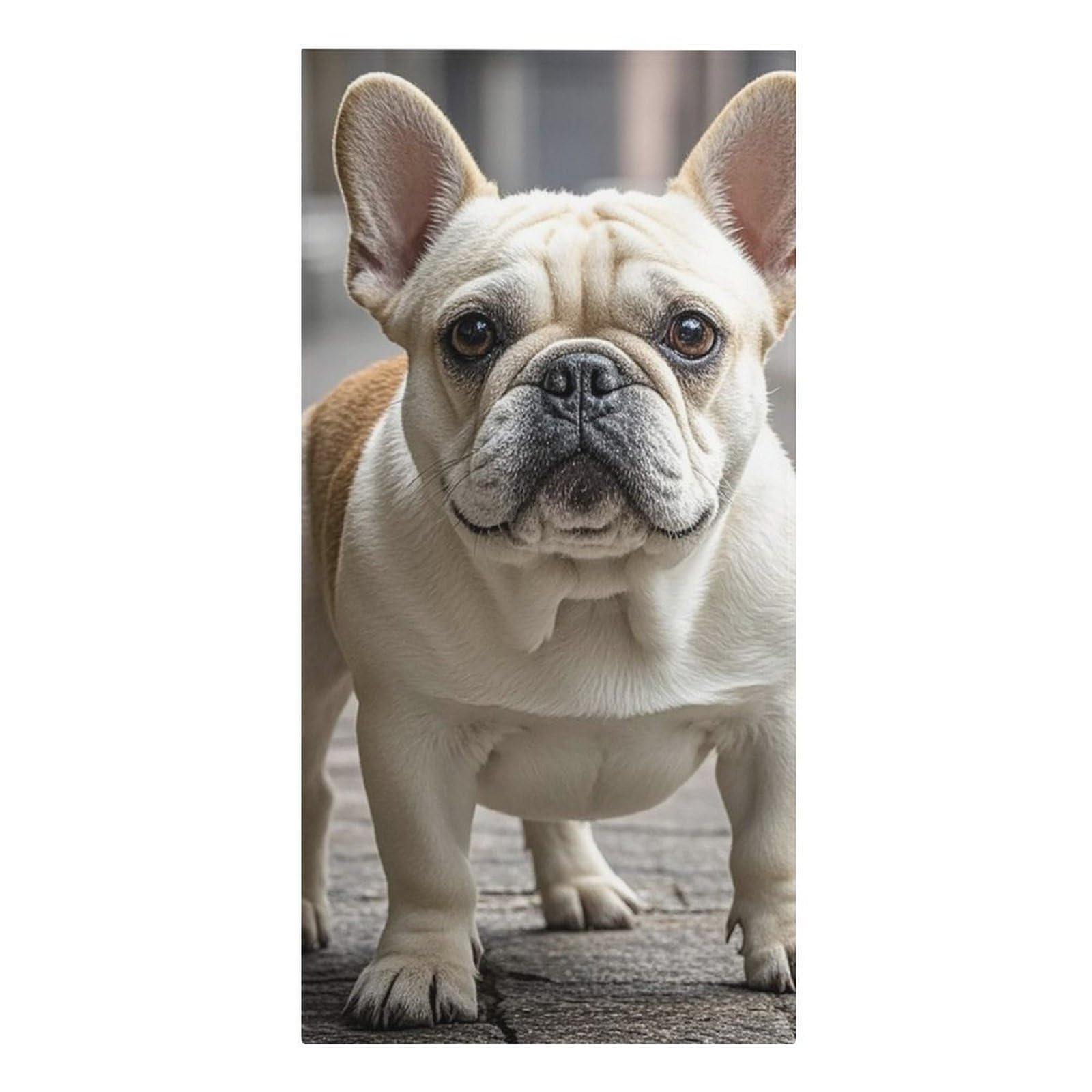 QMNLKH French Bulldog Beach Towel for Women, Large Microfiber Pool Towel for Men, Absorbent Swim Towels for Home, Lightweight Bath Towels for Camping, Yoga, 30.3"x61.4"