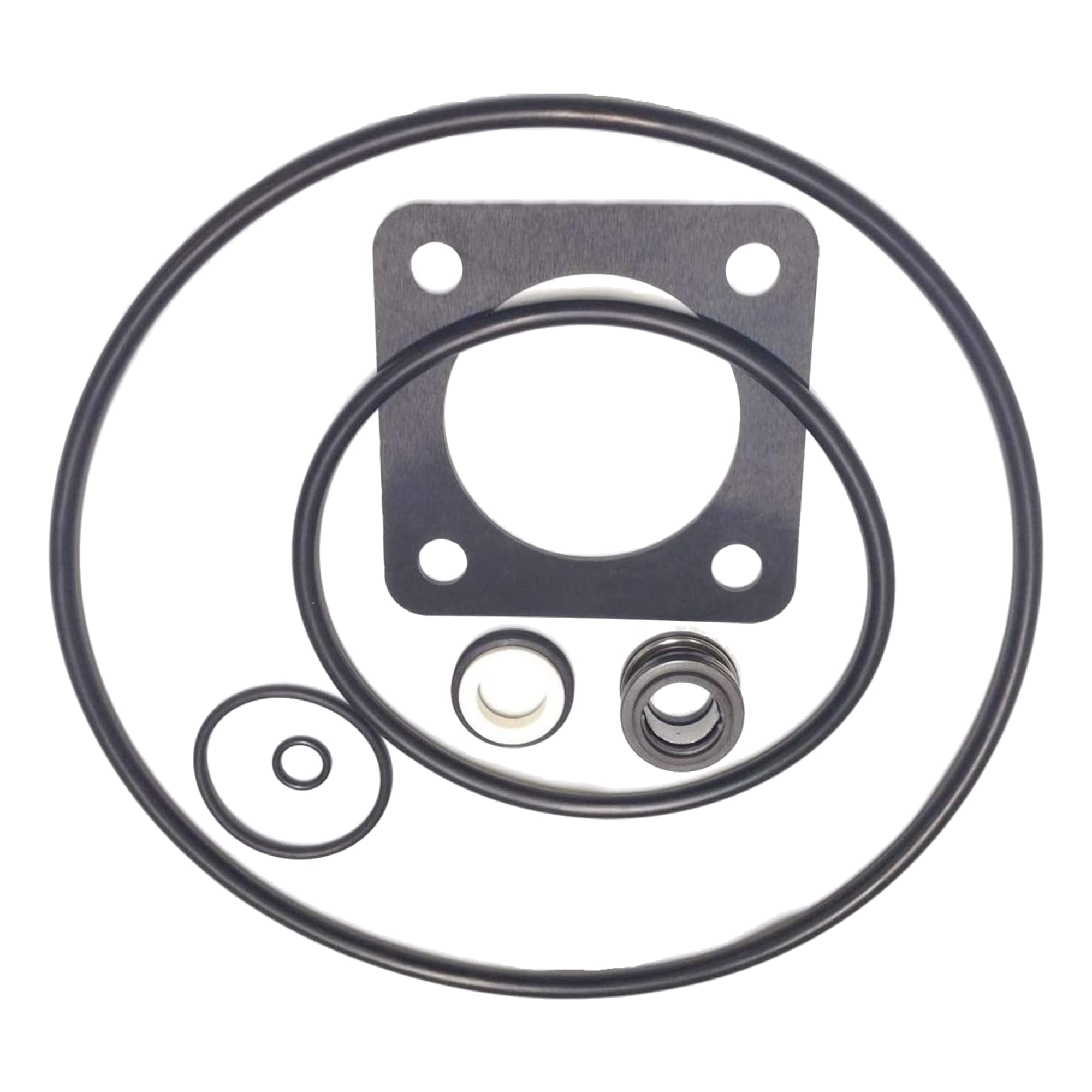 Pool Pump Repair Kit 54 for Sta-Rite Dura-Glas, Maxi-Glas, P2RA and P2R (1998-Present)