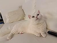 Review Image by Jz Jz