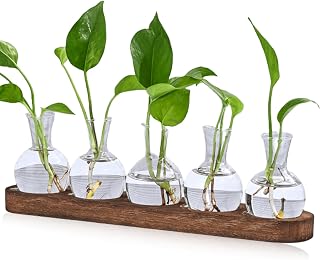 Pflanzen Terrarium, 5 Vintage Propagation Station mit Braunem Holztablett, Glasvase Klein Blumenvasen Set für Tischdeko, Mini Hydrokultur Vasen Deko für Blumen Pflanzen Stecklinge Kräuter