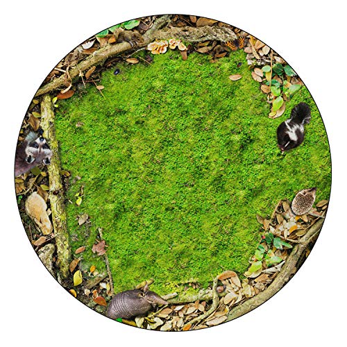 Flagship Carpets Forest Floor Multicolor Educational Rug for Children's Classroom, Playroom Carpet, Home Learning Area and Kid's Bedroom, 12', Round