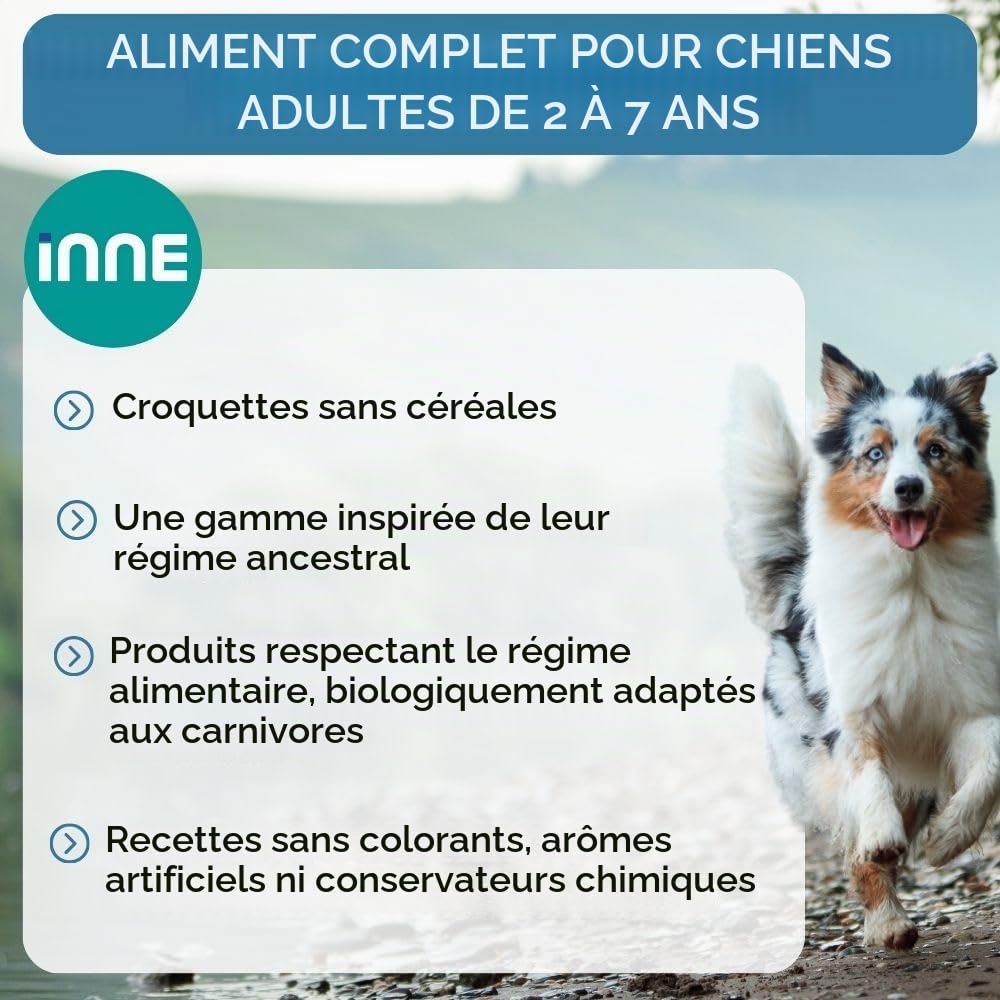 NUTRIVET - INNE Chien - Croquettes sans Céréales - Chien Adulte - Poisson - 80% d'ingrédients d'origine Animale - 12 kg