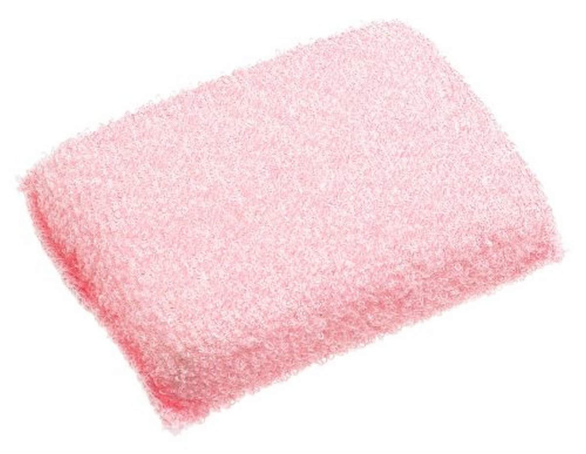 Clean Logic Exfoliating Body Scrubber (Pack of 12) Amazon.in Beauty
