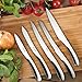 Kitchen Knife Set W/Wooden Block By Montaig (5 Piece Deluxe Set) Chef, Carving, Bread, Utility & Paring Knives Made Of 420 Grade Stainless Steel Elegant Design & Dishwasher Safe