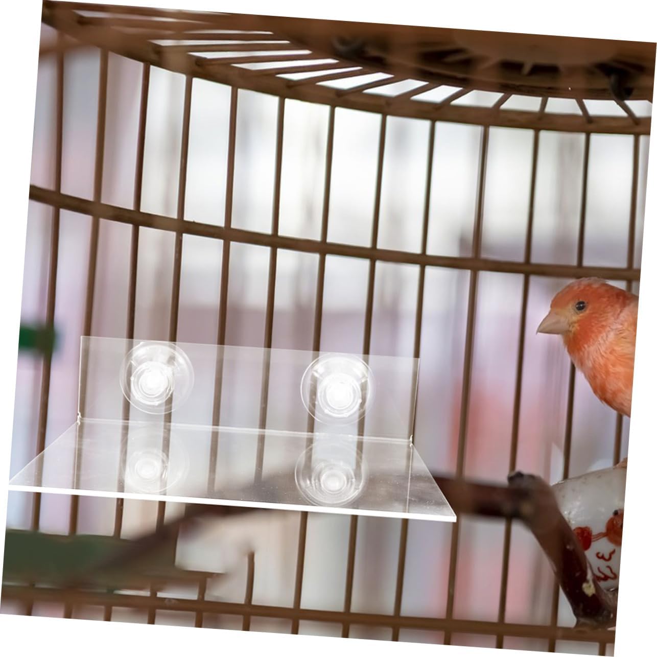 2Pcs Parrot Window Perch with Suction Cup Adjustable Height Bird Stand Portable Bird Platform for Parakeets Indoor Outdoor Height Adjustable