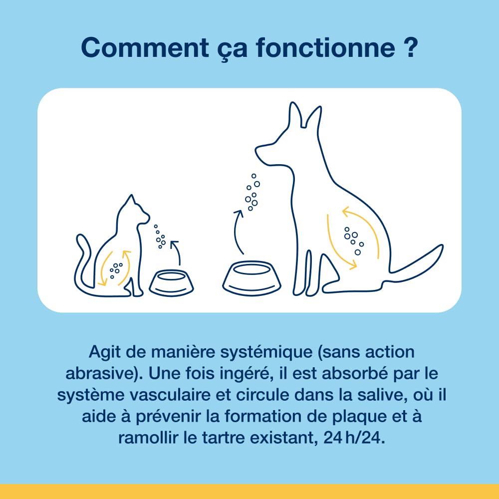ProDen PlaqueOff Lot Dentaire Chien Poudre 60g et 13 Os à Mâcher au Poulet
