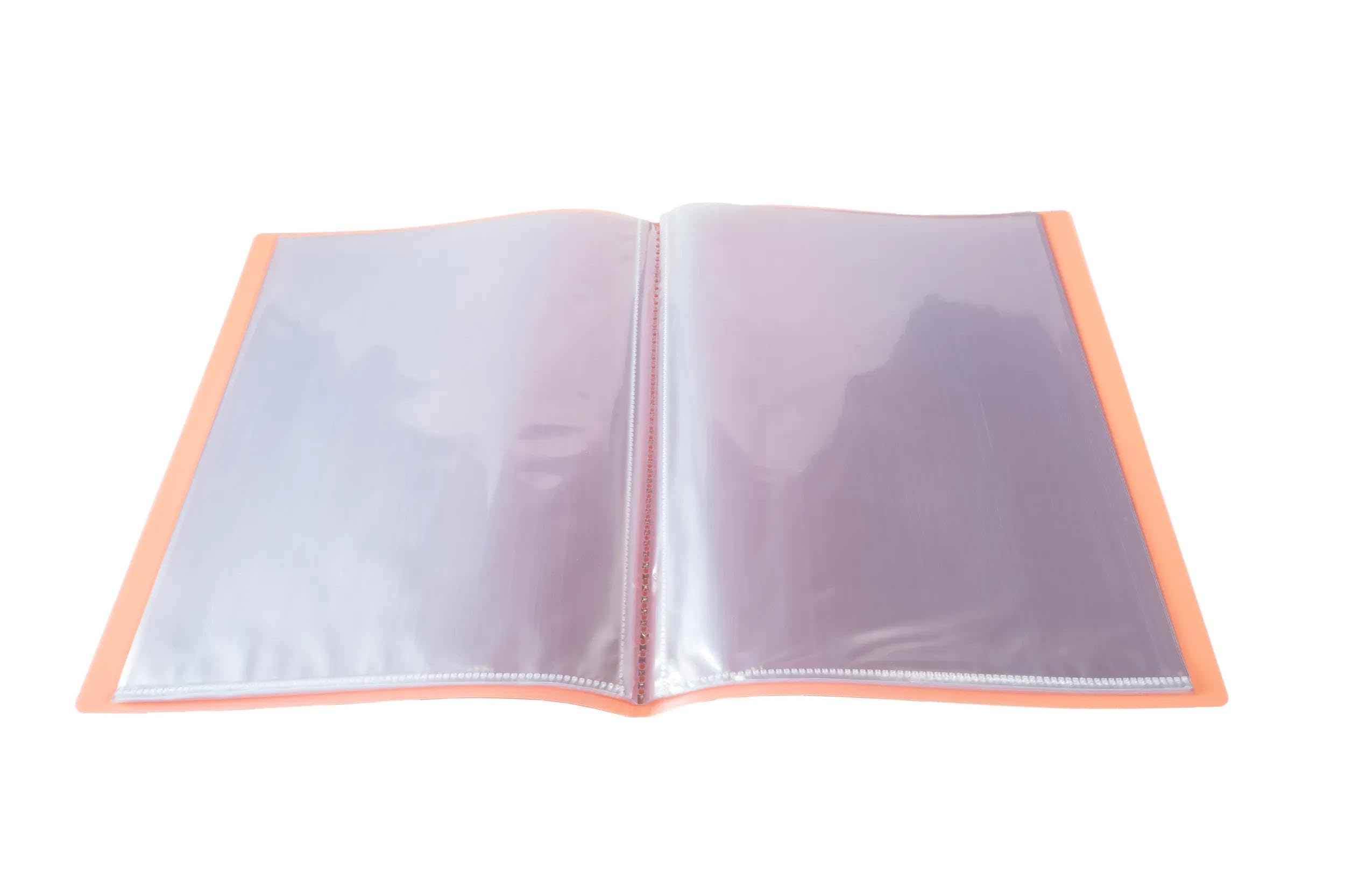 Exacompta - Ref. 88377E – Karton mit 10 Sichtmappen aus halbstarrem Polypropylen, Chromalin Pastell – 30 Hüllen aus glattem Kristall – 60 Seiten – weicher Einband transparent – A4 – Maße: 24 x 32 cm