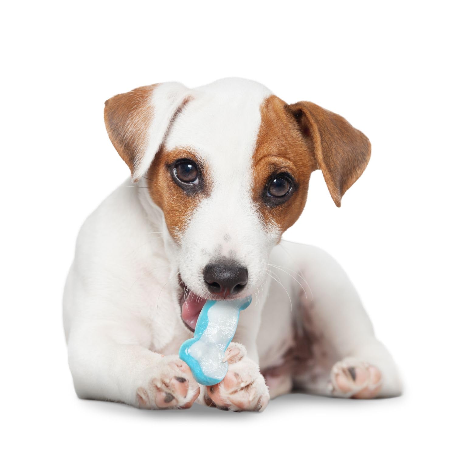 PawPride Dog Cooling Bone Dog Bone – Dog Teething Toys – Dog Chew