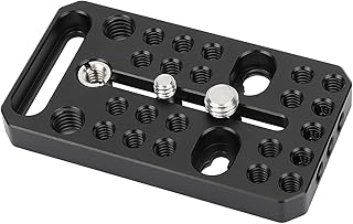 CAMVATE Multipurpose Cheese Plate with 1/4