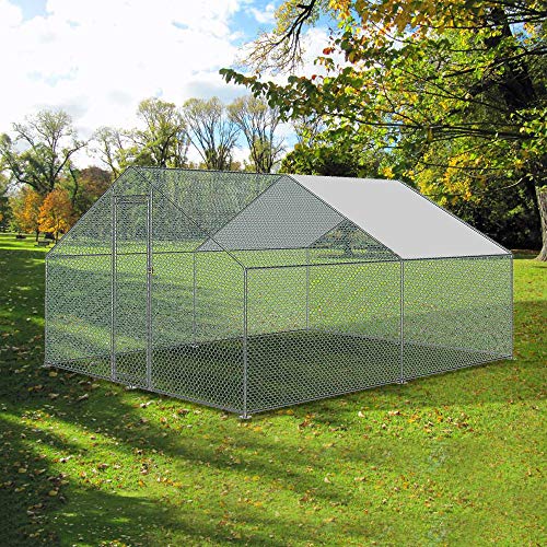 NAIZY Pollaio per Piccoli Animali Casa all'aperto