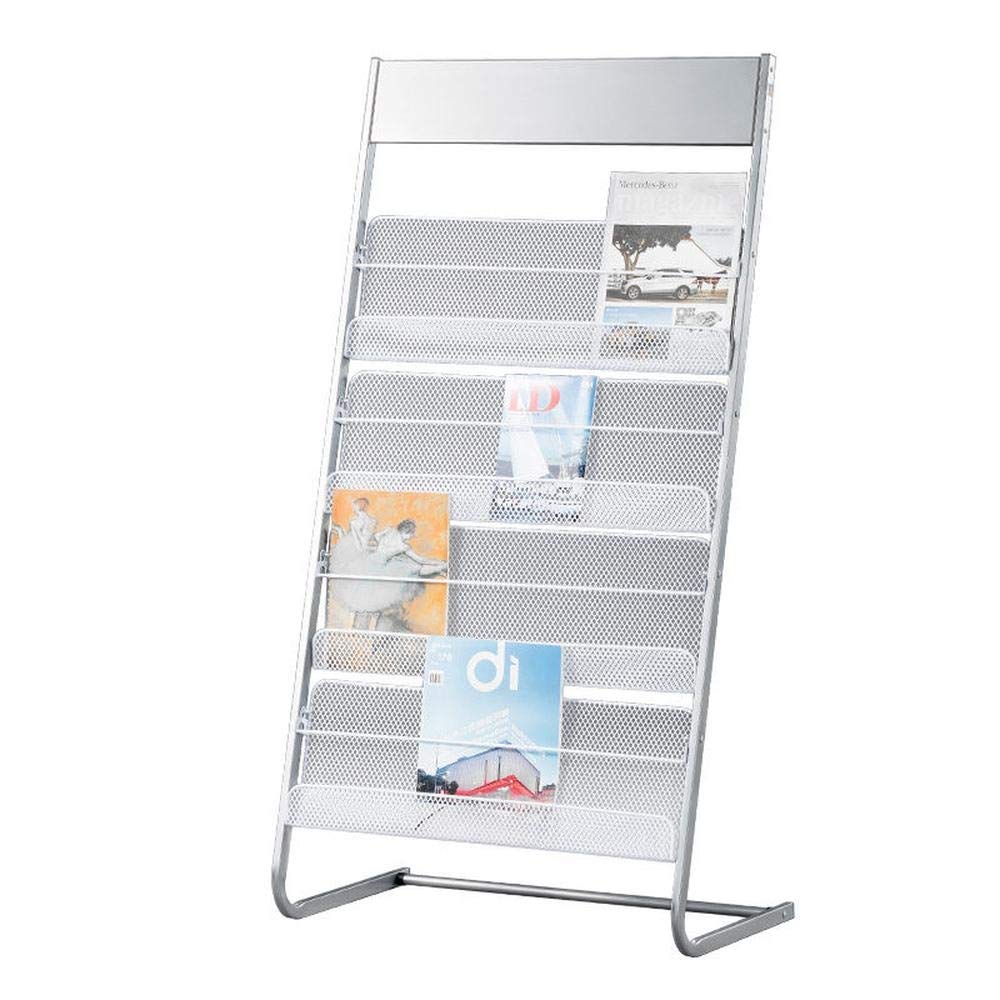 ASerZenith Floor Standing Magazine Rack Display Stand with 4 Shelves for Literature and Brochures (Silver A)