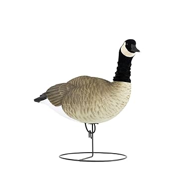 gooseページ Amazon.com : FLEXFLITE DECOYS Goose 4 Pack, Flexible Neck