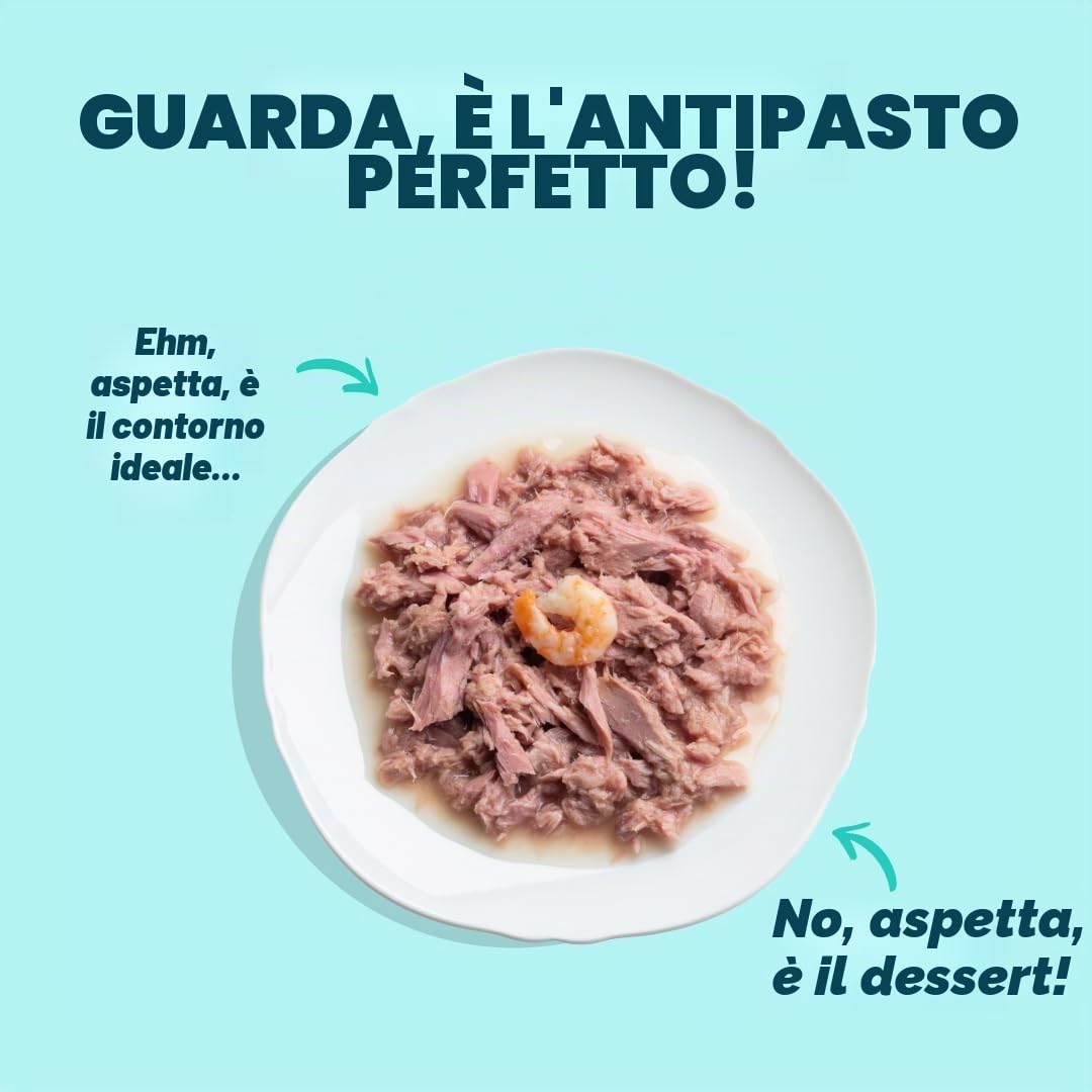 Edgard & Cooper cibo umido per gatti, (Tonno/Gamberetti Fresco, 70g x 24), Filettini per gatti, sterilizzati o attivo, carne fresca e ingredienti naturali, senza cereali, senza zuccheri aggiunti