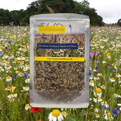 Boston SeedsDual Purpose Wildflower Seeds - BSXP 100% Dual Purpose British Annual & Perennial Wildflowers. 28 Species of Wild Flower Seeds UK. Diverse & Colourful Wild Flower Mix (1kg)
