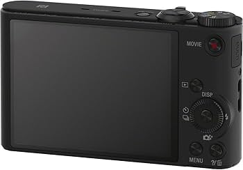 Amazon.com : Sony Cyber-Shot WX350 Compact Digital Camera with 20x