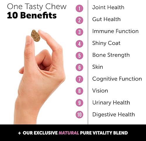 Miniatura 3 de Pet Honesty Multivitamínico para perros 10 en 1, vitaminas para perros para la salud y el corazón, aceite de pescado para perros, glucosamina,