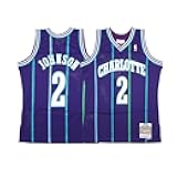 Charlotte Hornets Larry Johnson Alternate 1994-95 Swingman Jersey Purple